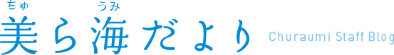 美ら海だより