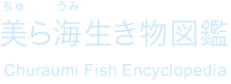 Churaumi Fish Encyclopedia