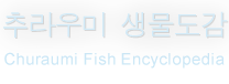 추라우미 생물도감