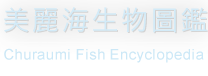 美丽海生物图鉴