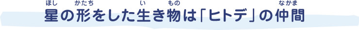 星の形をした生き物は「ヒトデ」の仲間（ほしのかたちをしたいきものはひとでのなかま）