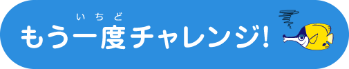 もう一度チャレンジ