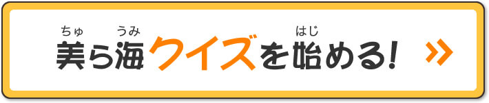 美ら海（ちゅらうみ）クイズを始（はじ）める！