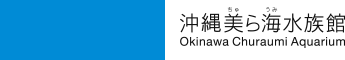 一般財団法人 沖縄美ら島財団