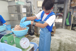 職場体験