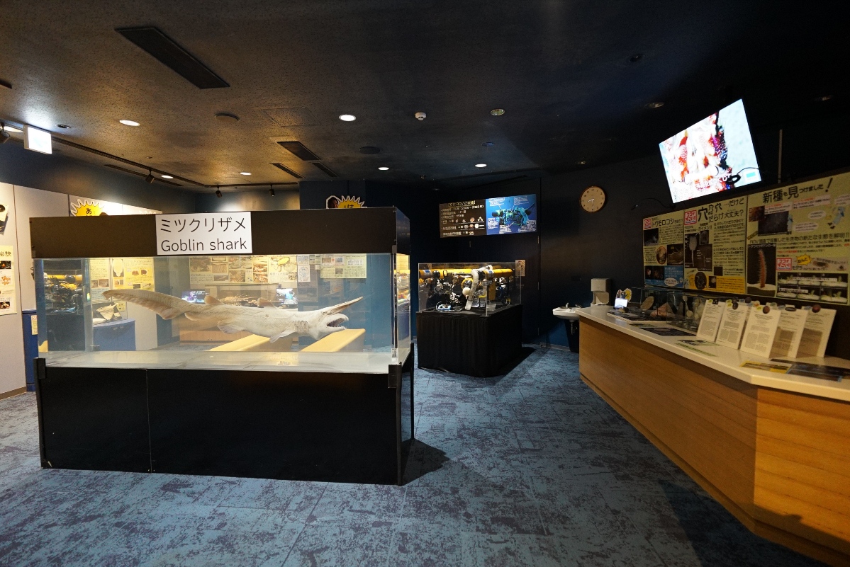 わくわくアクアラボ