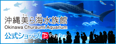 沖縄美ら海水族館公式ショップ