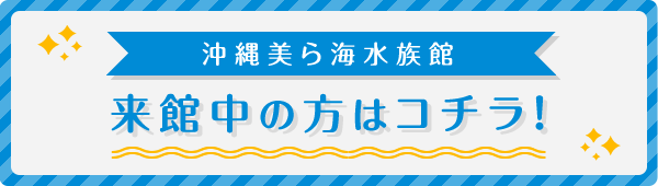 来館中の方はコチラ！