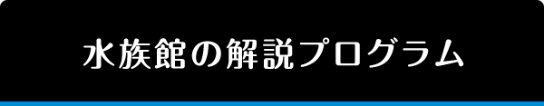 水族館の解説プログラム