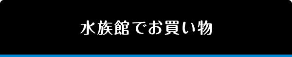 水族館でお買い物