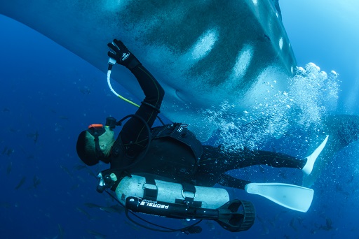 【巨大ジンベエザメに採血とエコーで挑む！】が海外メディアにてご紹介頂きました。の画像