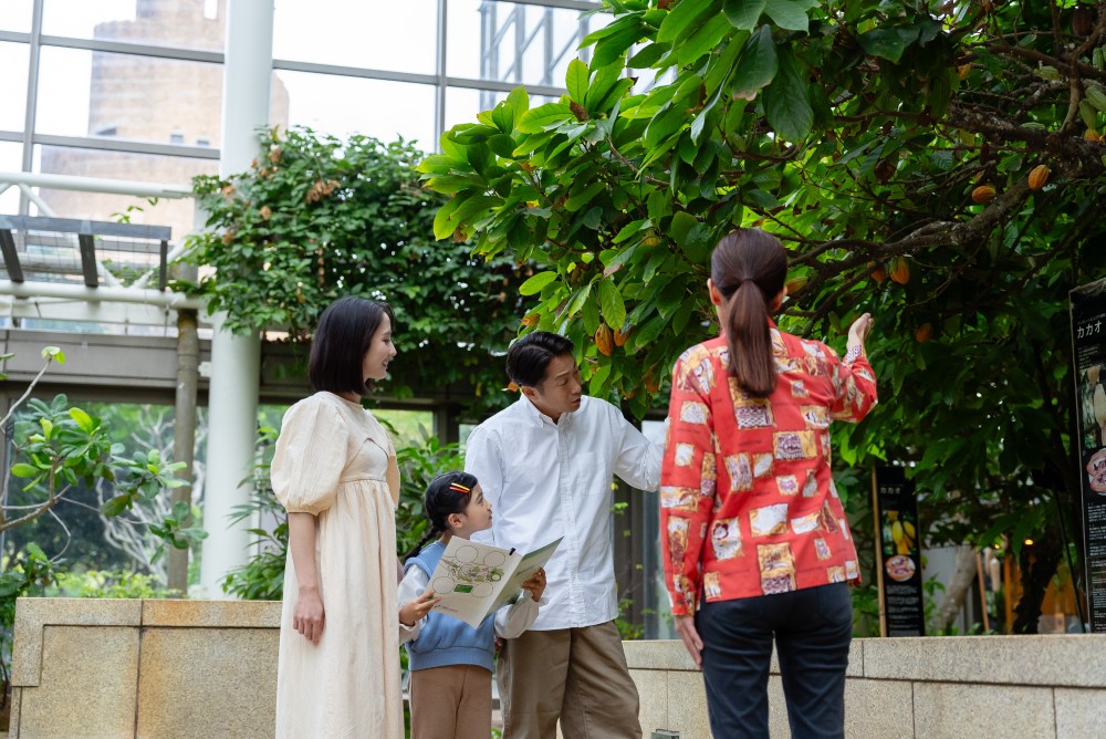館内の植物をガイドが解説　イメージ画像