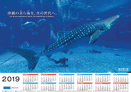 沖縄美ら海水族館 おかげさまで開館16周年の画像