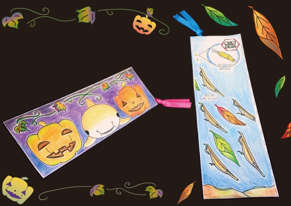 秋限定「美ら海しおり」