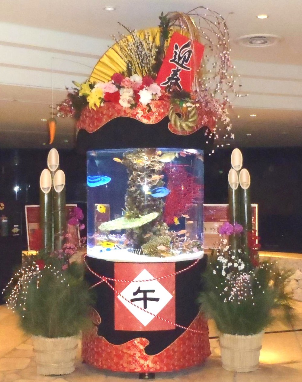 お正月水槽（イメージ）