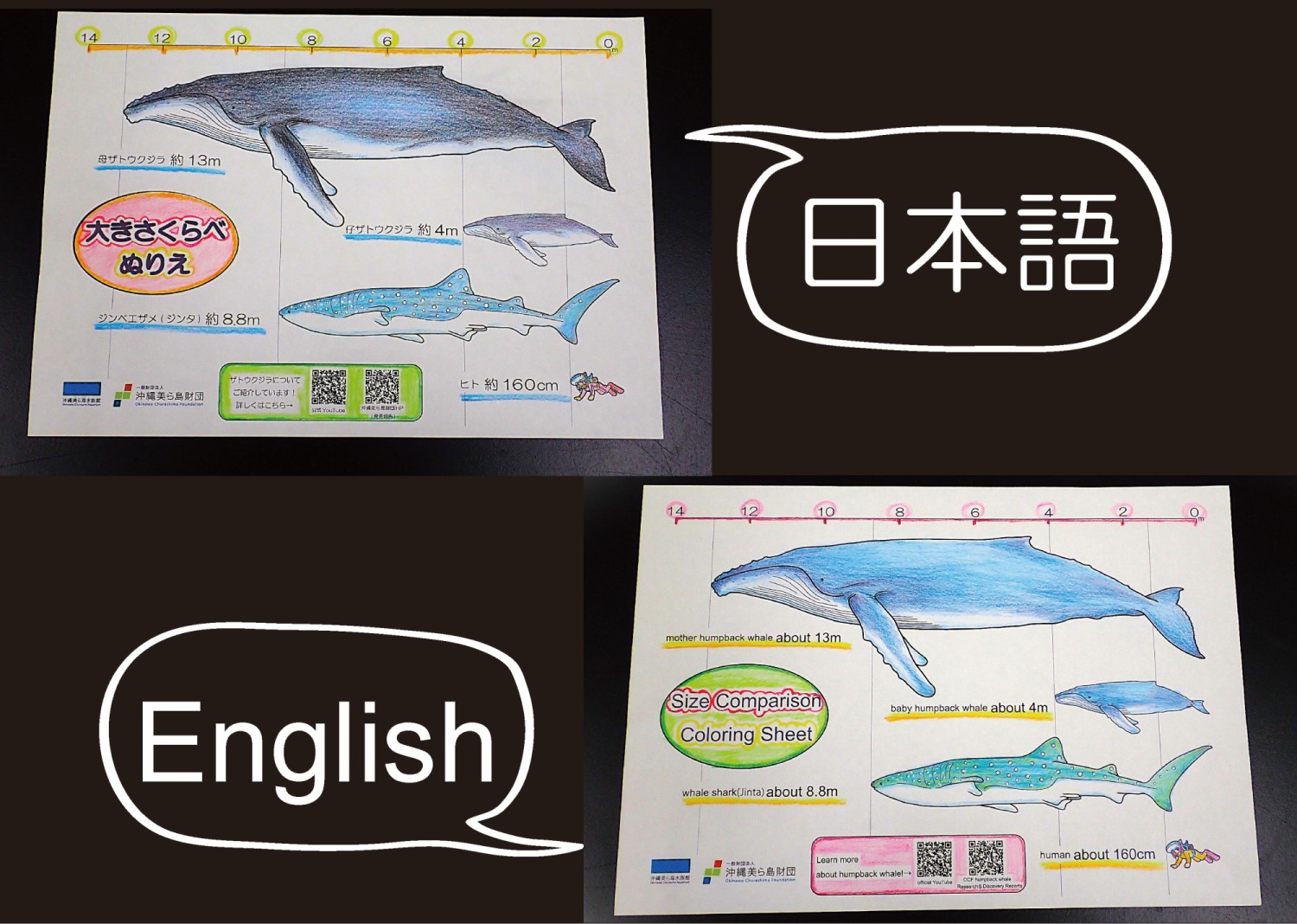 ブラックマンタ貯金箱