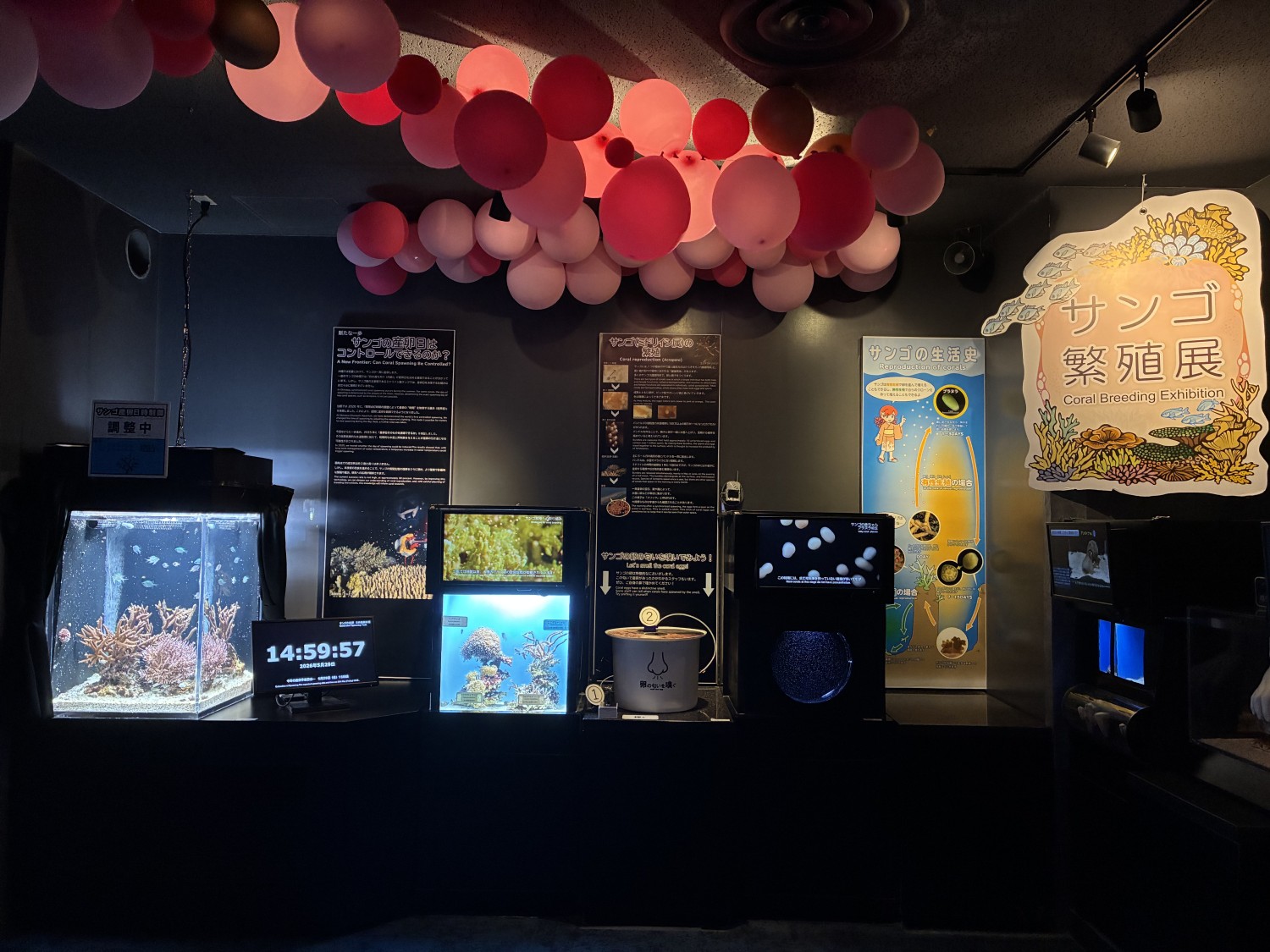 サンゴ繁殖展2026
