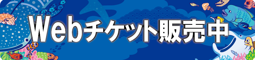 Webチケット販売中