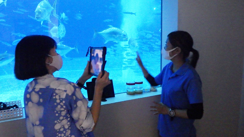 カンボジアの小児科病棟の子どもたちへ 沖縄美ら海水族館の遠隔授業を開催の画像