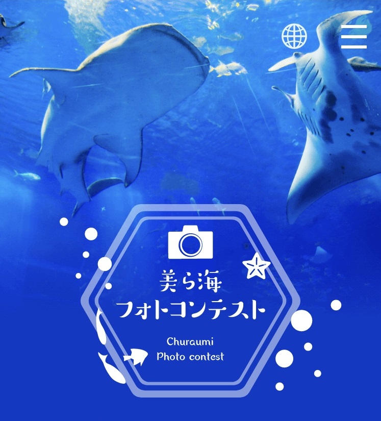 【第3回】美ら海アプリで 「美ら海フォトコンテスト」開催の画像