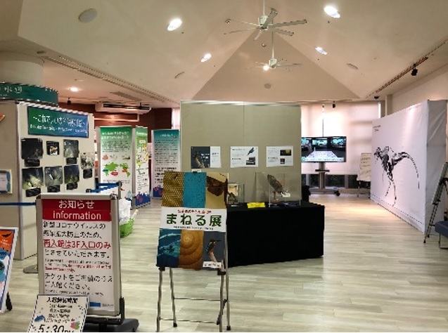 特別展示進化展